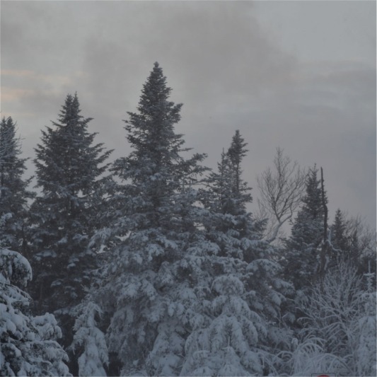 owls head conditions actuelles
